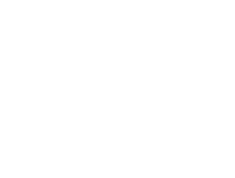 Radford Townhomes